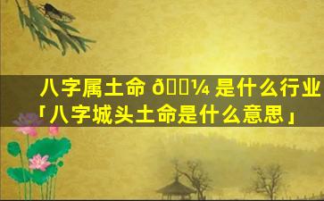 八字属土命 🌼 是什么行业「八字城头土命是什么意思」
